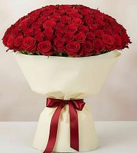 101 Красная роза Милано в Житнево Букет 101 Красная роза Милано в Житнево