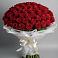 Букет 101 Красная роза Блэк Мэджик в Житнево