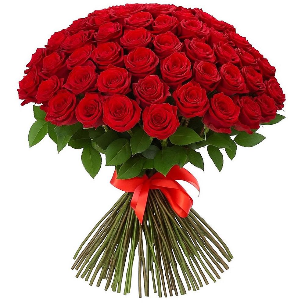 Букет Красные розы Блэк Меджик в Житнево