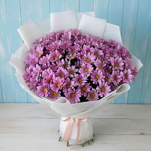 Букет цветов из:  Хризантемы в Житнево