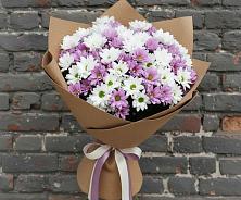 Букет цветов из:  Хризантемы #REPLACE_PRED# Житнево