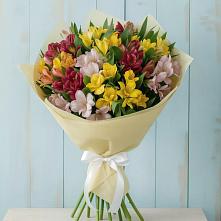 Букет Летние краски в Житнево Букет цветов из:  Альстромерии в Житнево