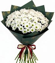 Букет цветов из:  Хризантемы #REPLACE_PRED# Житнево