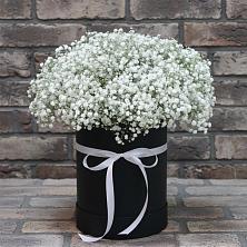 Цветочная композиция из Гипсофила в шляпной коробке в Житнево