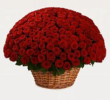 Премиум букет из: Розы в Житнево